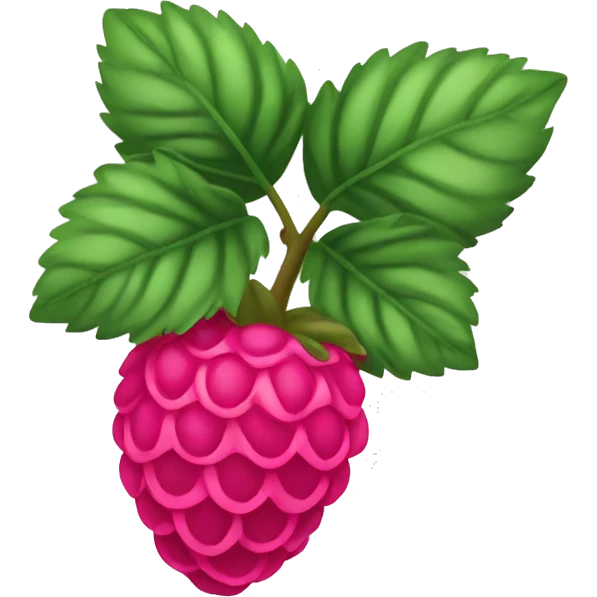 A single pink raspberry emoji