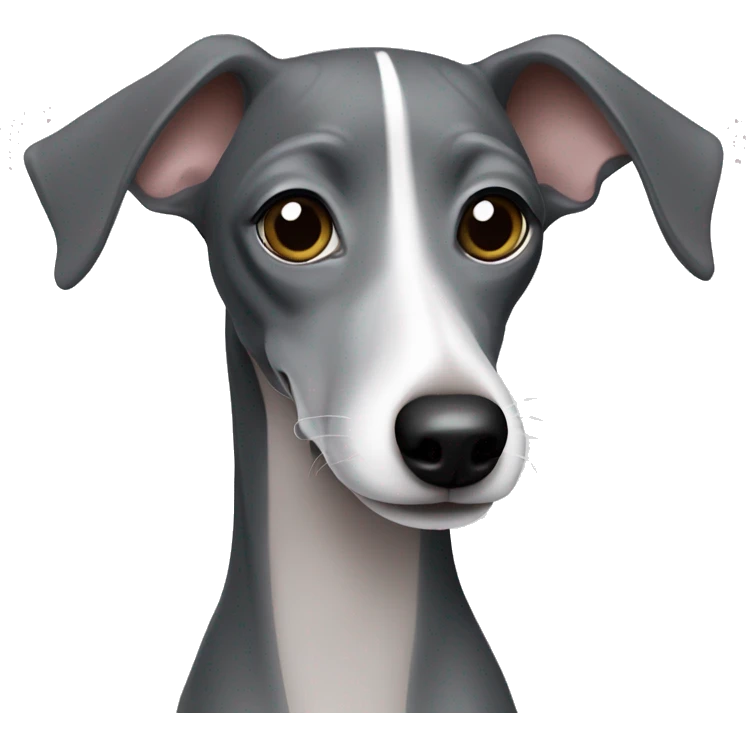 Dark grey Italian greyhound with lighter grey snout emoji
