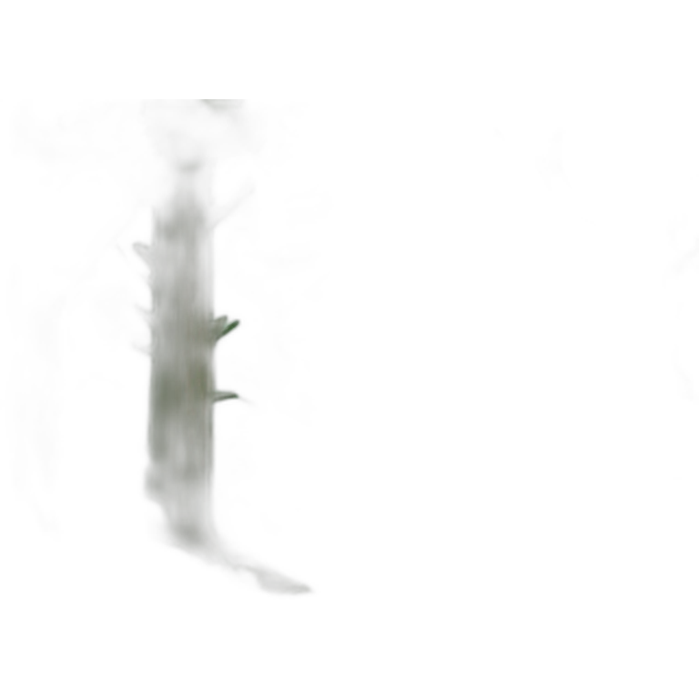 Forest  emoji