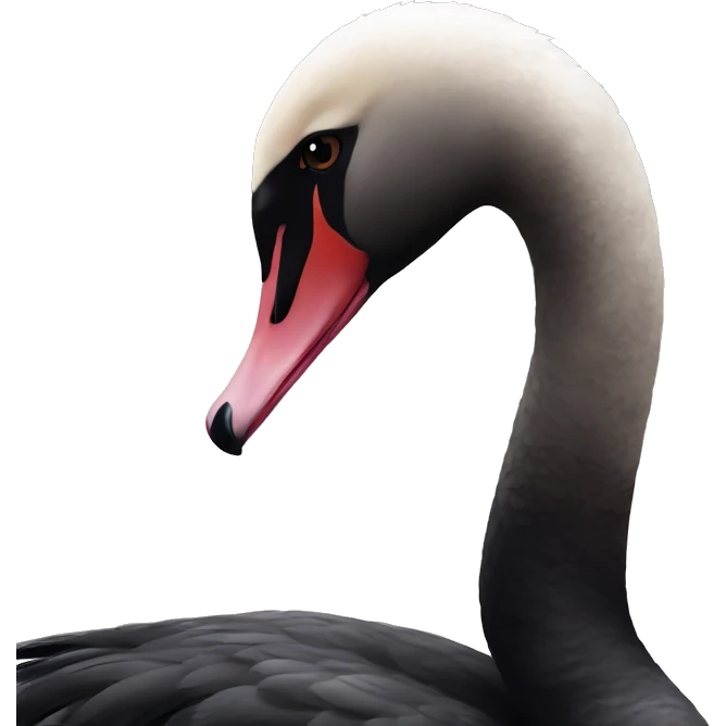 Black swan emoji