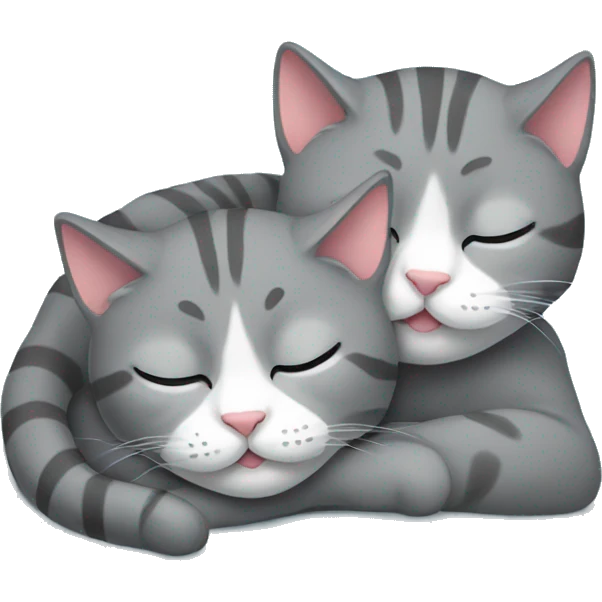 2 Gray cats sleeping emoji