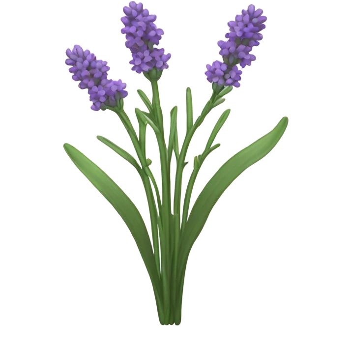 Lavender plant  emoji