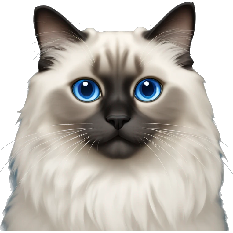 himalayan ragdoll cat with blue eyes and black feet and black tail emoji