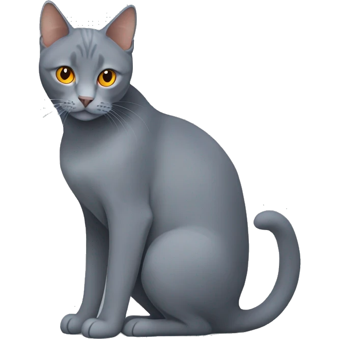 Grey cat breed blue Brit with orange eyes and several lines on the tail emoji