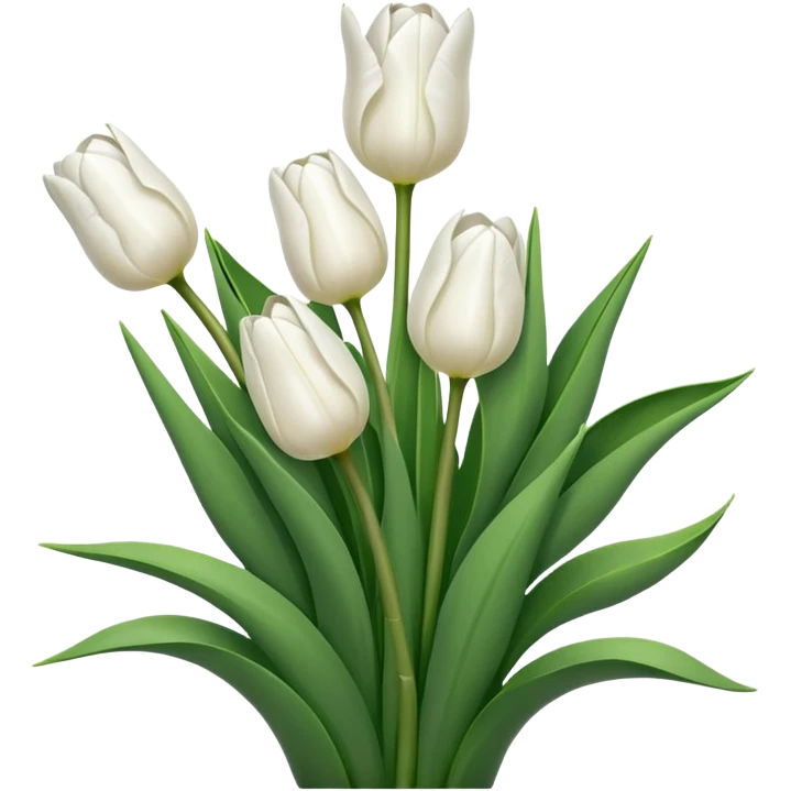 A bouquet of white tulips  emoji