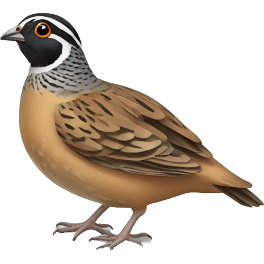 quail emoji