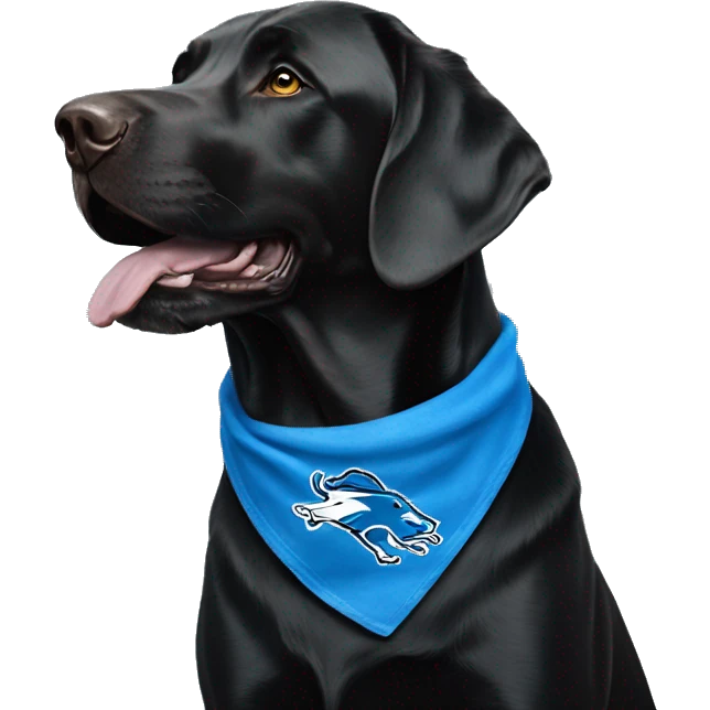 Large Black Lab dog in a Detroit Lions bandana  emoji