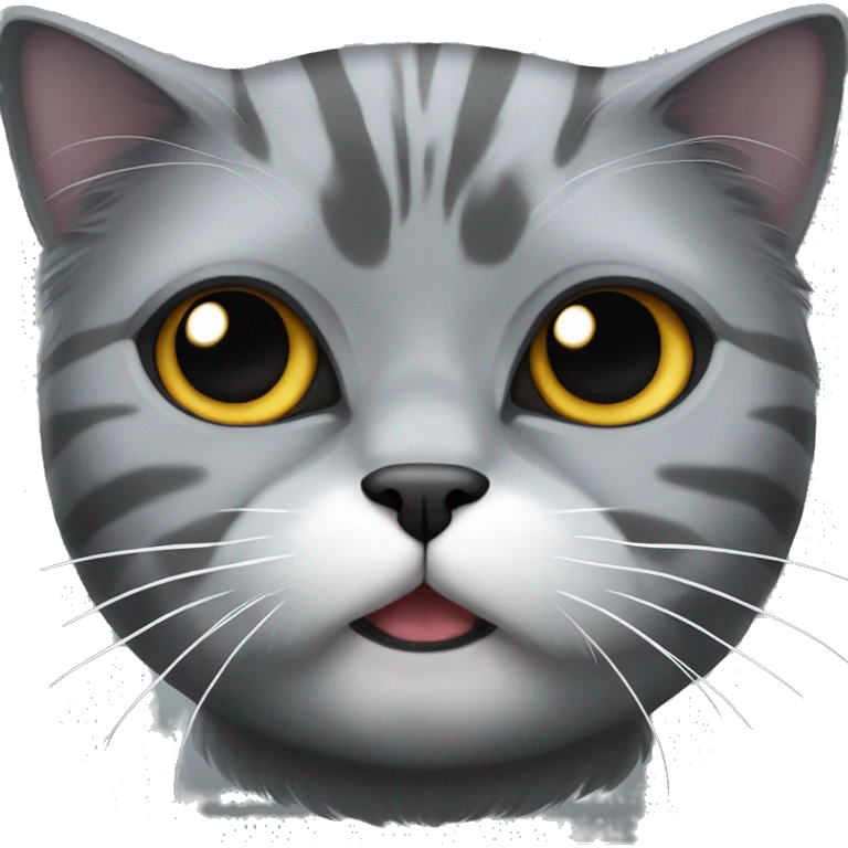 A gray Persian cat with dark and light gray stripes and a deep gray face emoji