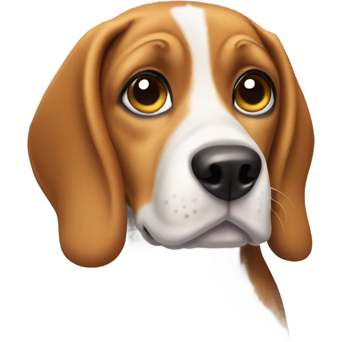 Beagle dog doing puppy eyes emoji
