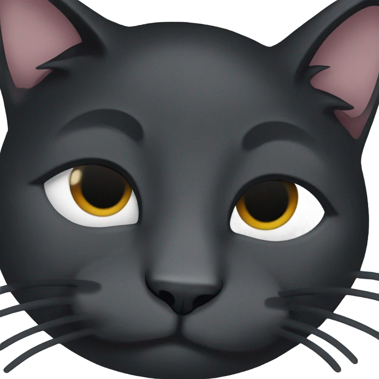 Black cat sleeping emoji