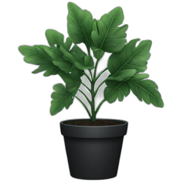 Plant with black leaves  emoji