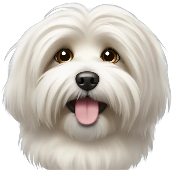 havanese  emoji