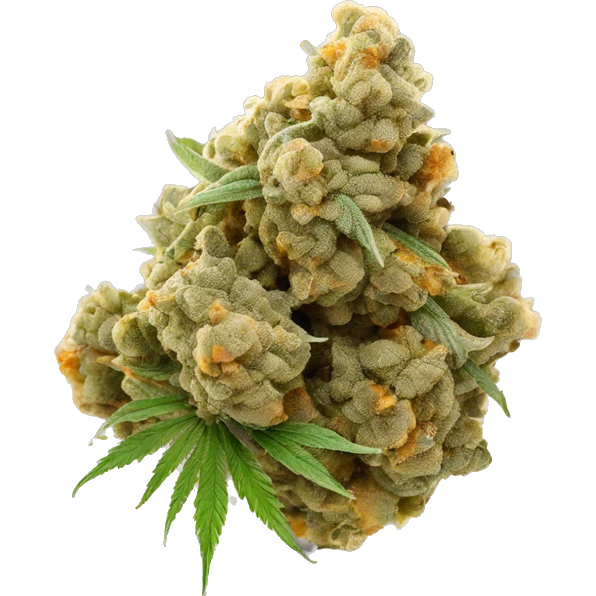 OG Kush cola cannabis nug emoji