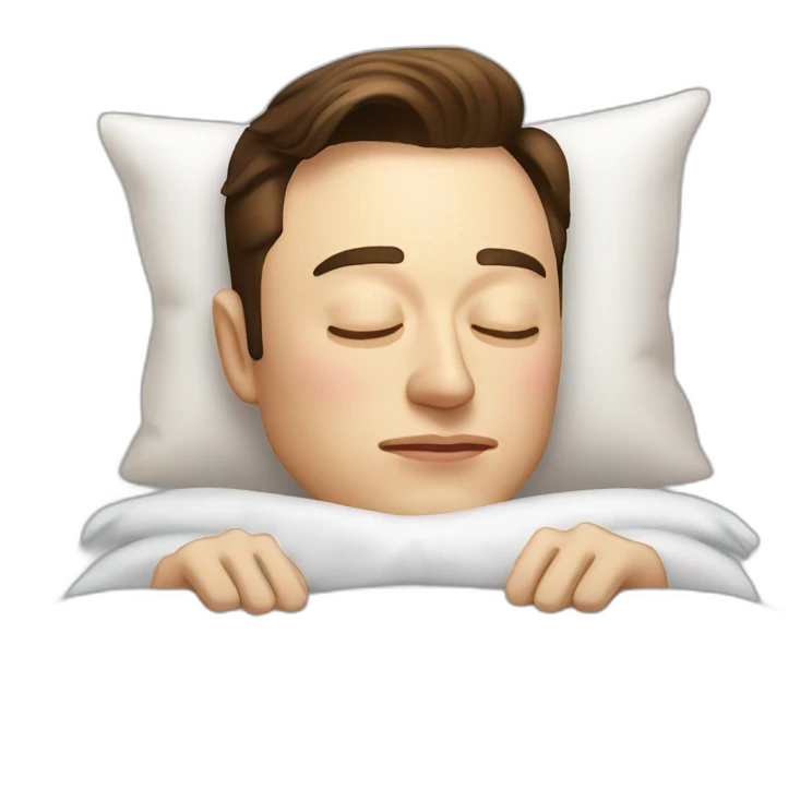 elon musk sleep emoji