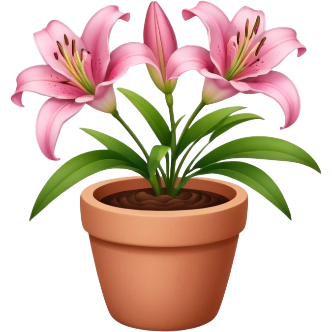 pink lily flowers in a clay pot emoji