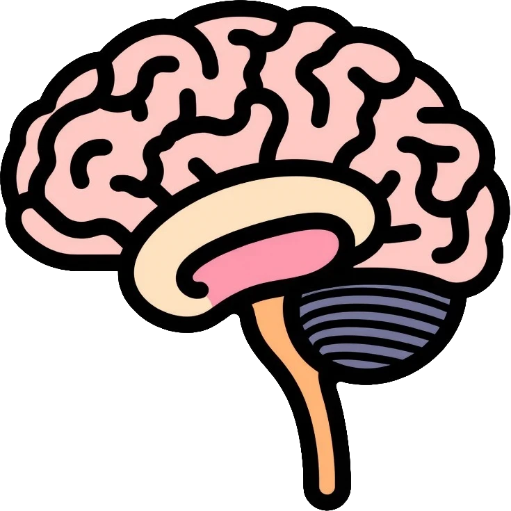 brain radiology scan with anatomical details emoji