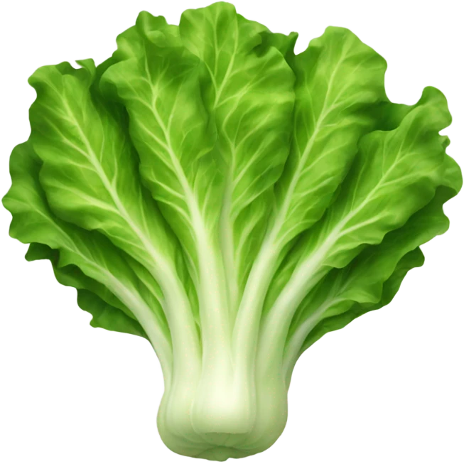 Lettuce emoji