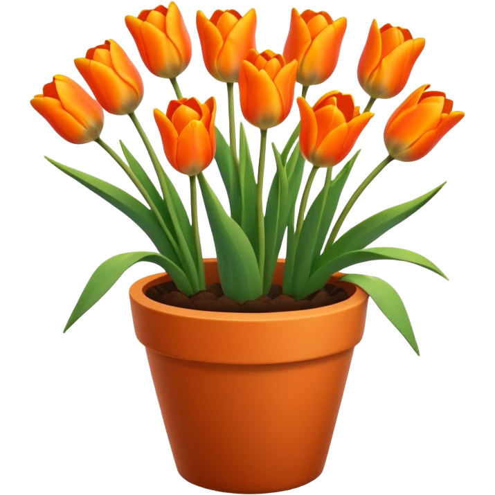orange tulips flower pot emoji