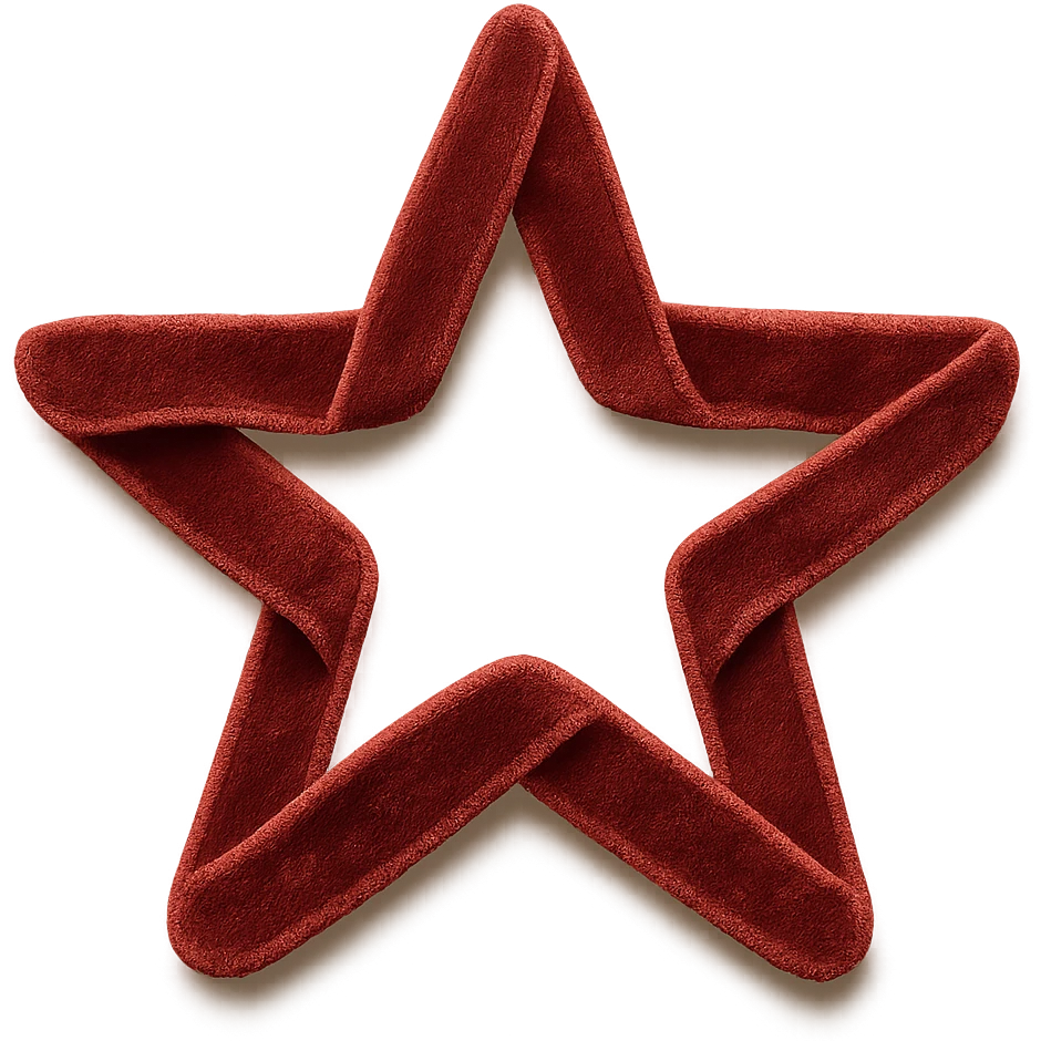 star with a velvet ribbon emoji