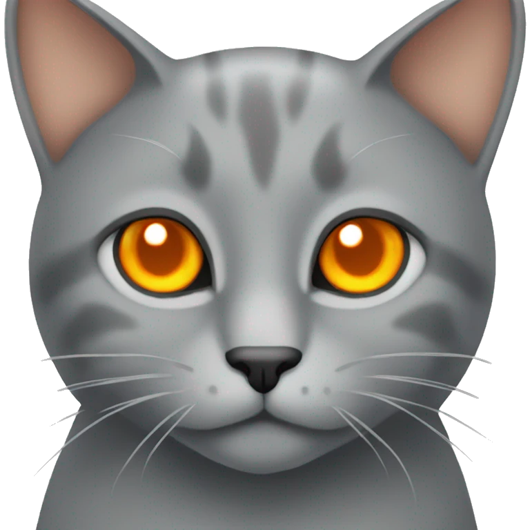 grey cat with orange eyes  emoji