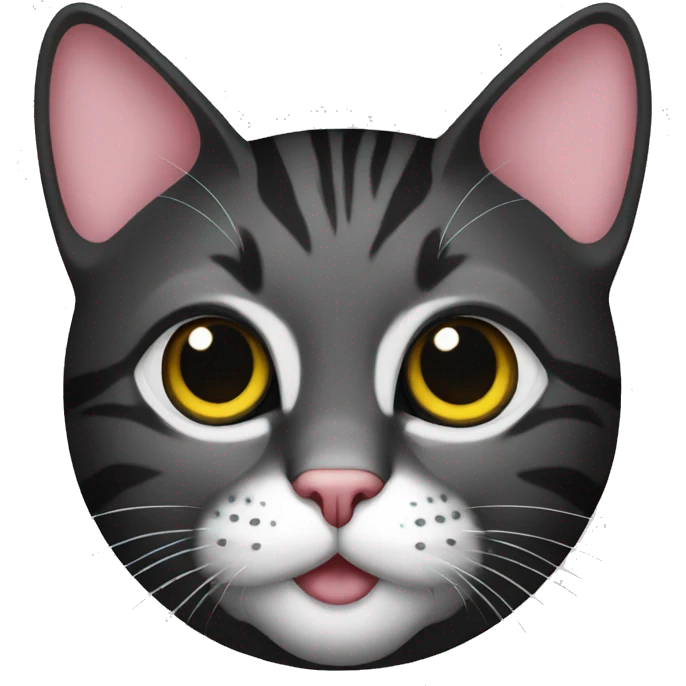 cat black emoji