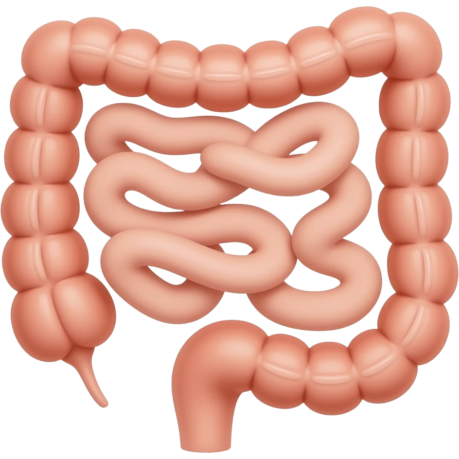 Small intestine emoji emoji