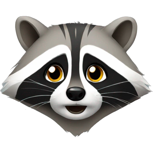 raccoon emoji