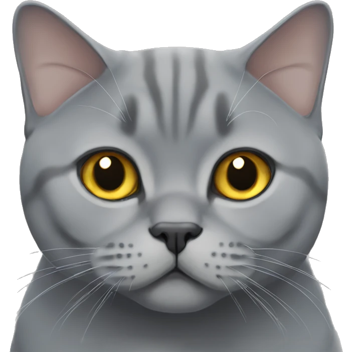 Grey British shorthair  emoji