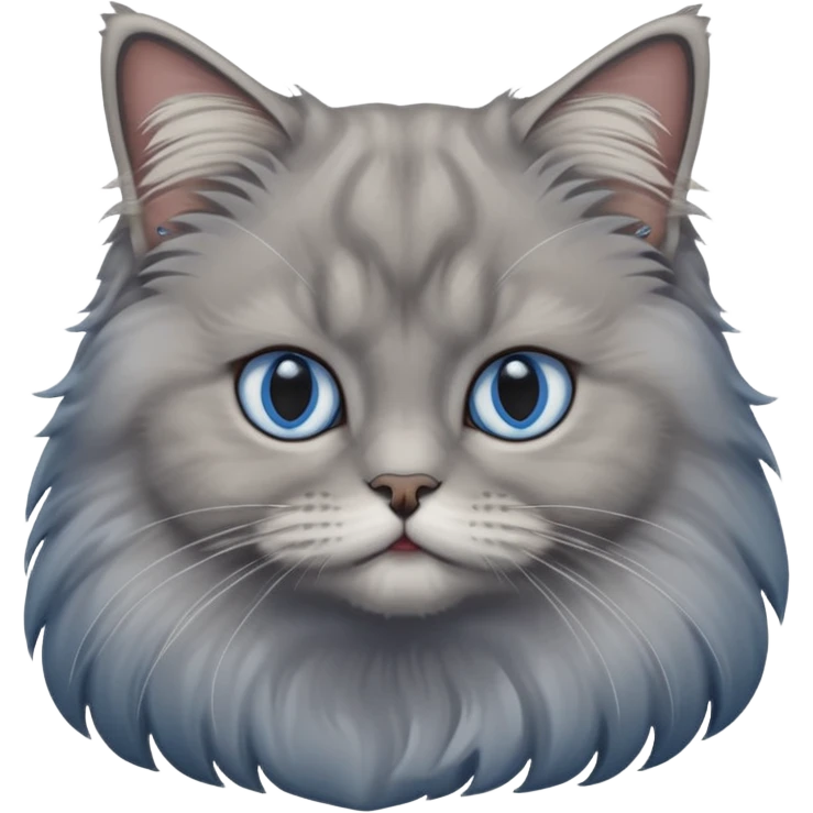 A cat which is a brittish longhair whit is gray color and hes eyes are blue emoji