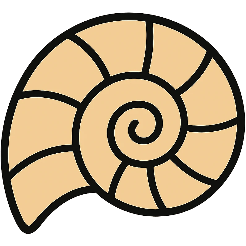 Beige ammonite fossil shell with spiral pattern and black outlines emoji