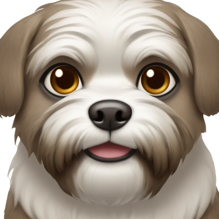 Shitzu with brown a round mouth and grey around eyes with dark brown eyes emoji