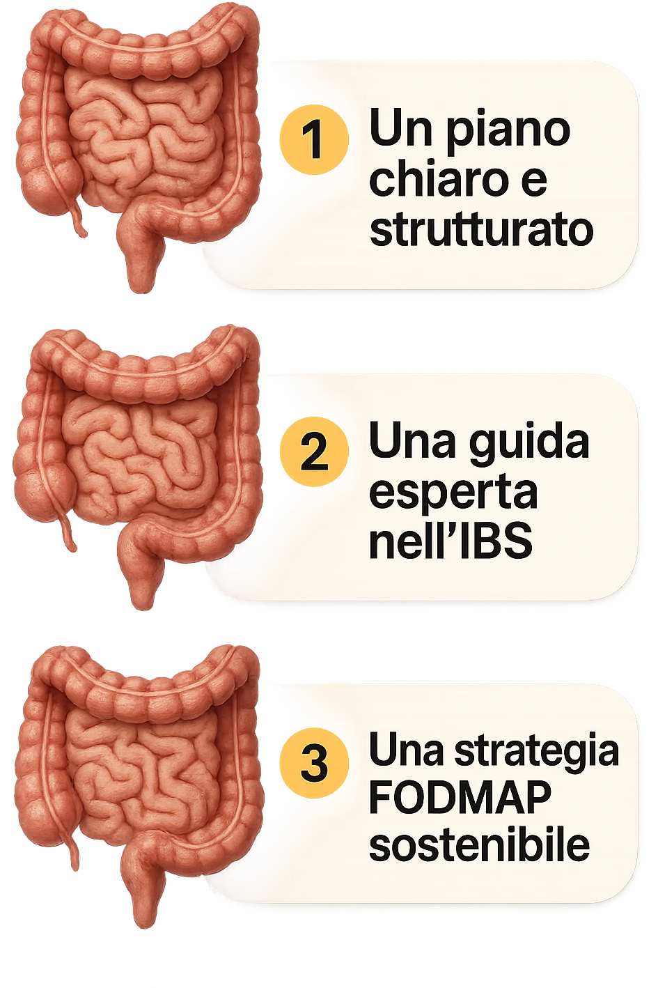 emoji stile iphone di 3 targhette numerate con intestino realistico davanti ad ogni targhetta, le targhette sono:
"1 – Un piano chiaro e strutturato
2 – Una guida esperta nell’IBS
3 – Una strategia FODMAP sostenibile"
, iperrealistico 4k emoji