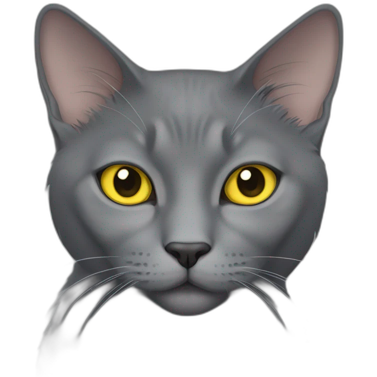 fluffy grey korat breed cat with yellow eyes black pupils, sleeping female emoji