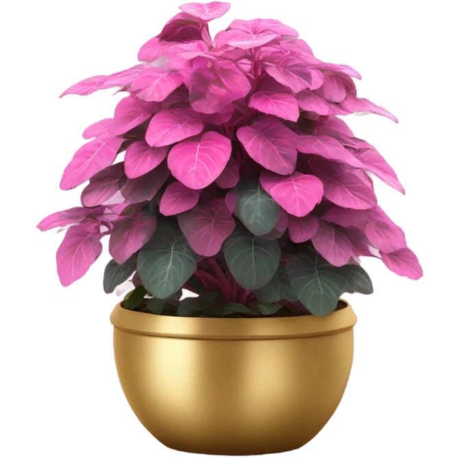 Hippo Hypoestes pink in round gold planter emoji