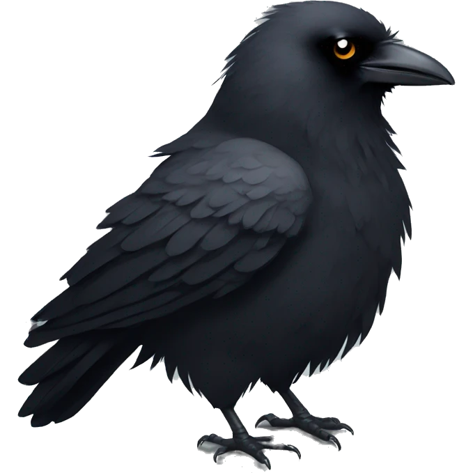 Cut fluffy black crow with black eyes emoji