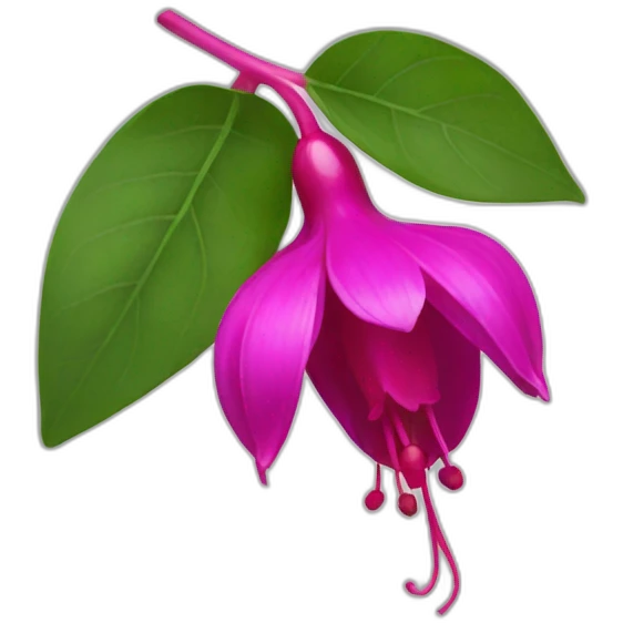fuchsia emoji