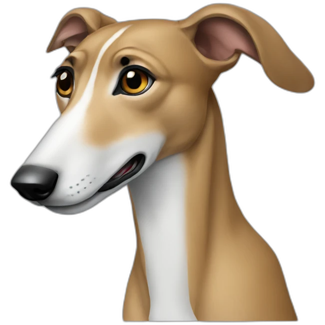 Greyhound emoji