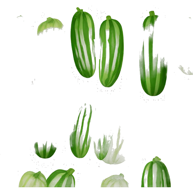 striped Courgette emoji