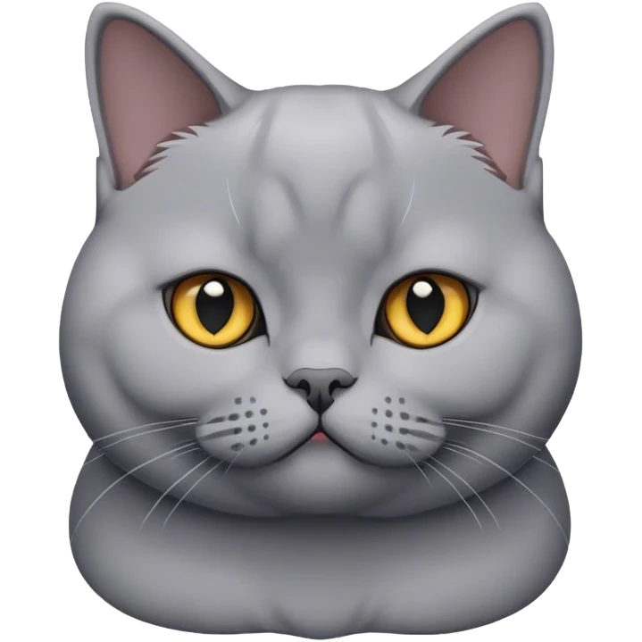 Graue british shorthair car emoji