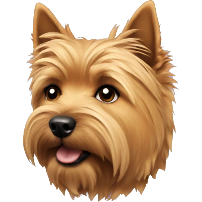 norwich terrier emoji
