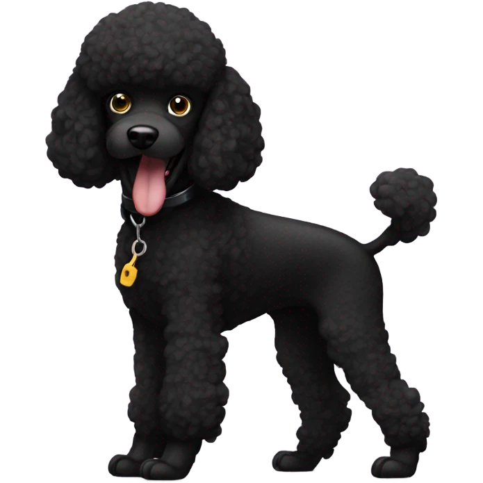 Black poodle robbing  emoji