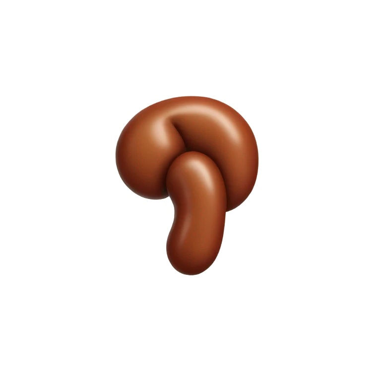 Simple kidney emoji