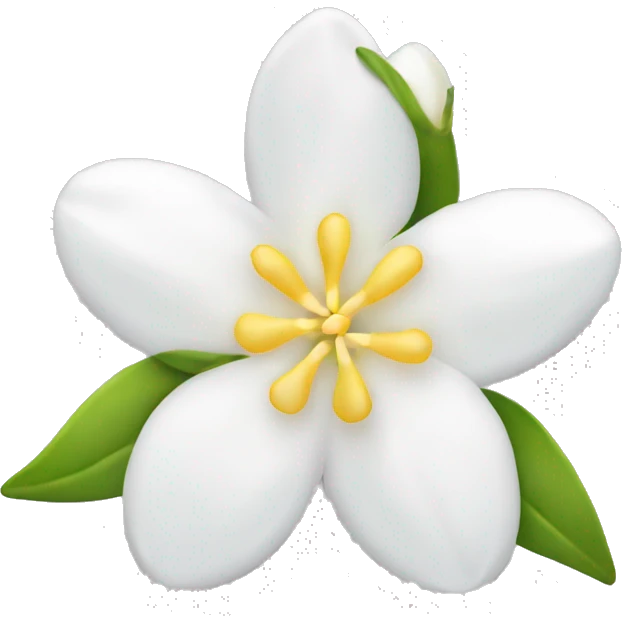 Jasmine flower with white petal and yellow center with stamen emoji