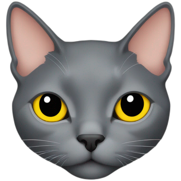 korat grey cat head with yellow eyes and black public emoji