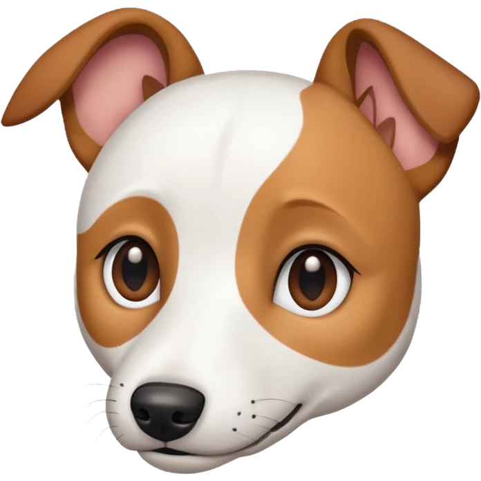 a fully white jack russell the size of a kelpie with light brown ears and a light brown patch on one eye emoji