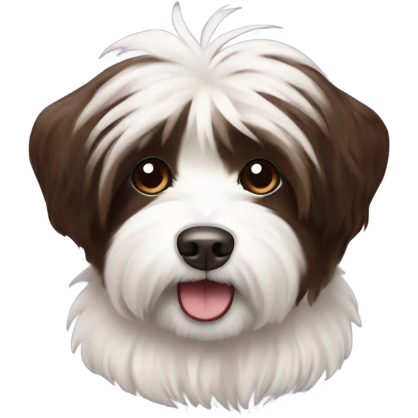 A chocolate and white coloured havanese  emoji