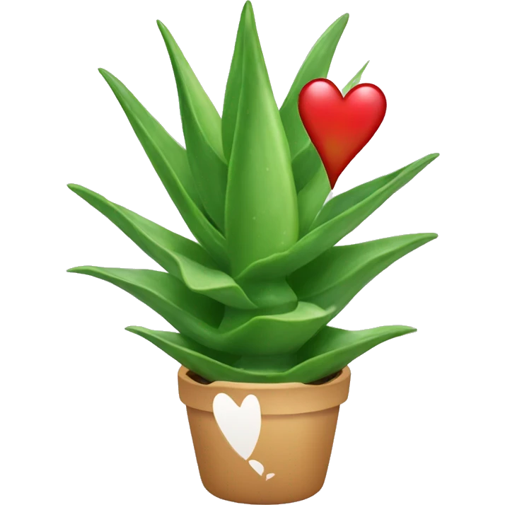 Aloe Vera with heart and kiss emoji