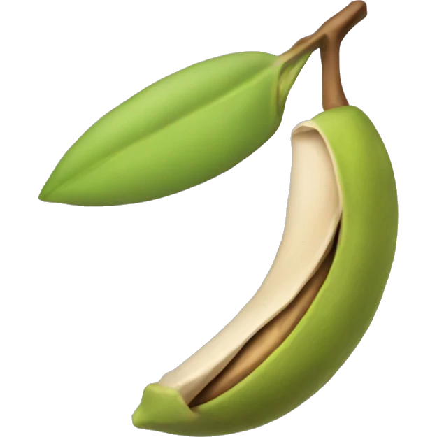 pistachio  emoji