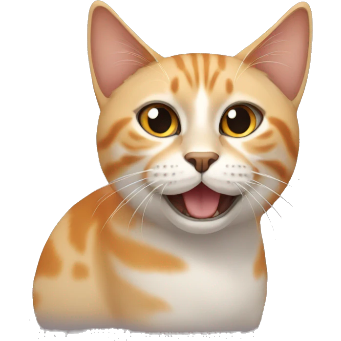 Gato anaranjado emoji