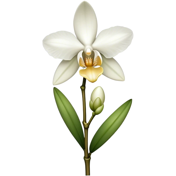 single white Dendrobium Orchid straight stem emoji